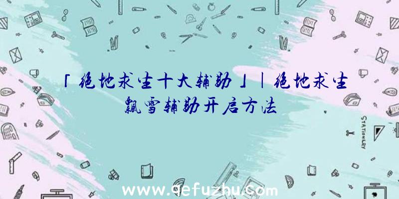 「绝地求生十大辅助」|绝地求生飘雪辅助开启方法